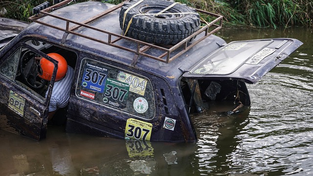 这一场胜利 这一场胜利