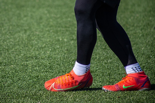 第九届亚冬 第九届亚冬