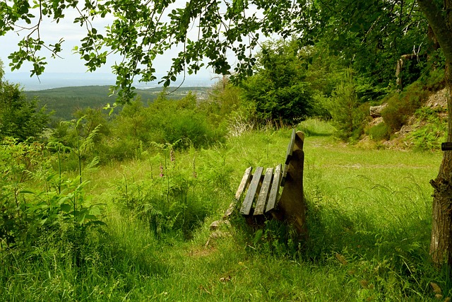 意甲第37輪卡利亞裏1-3國際米蘭 勞塔羅梅開二度達米安建功.