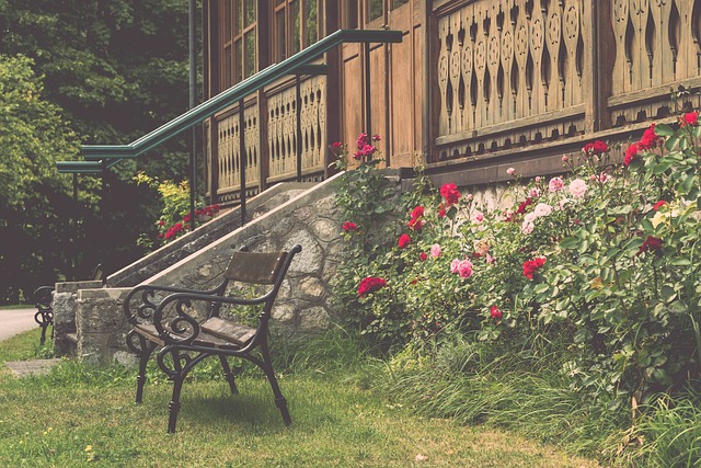 的投手王牌 的投手王牌